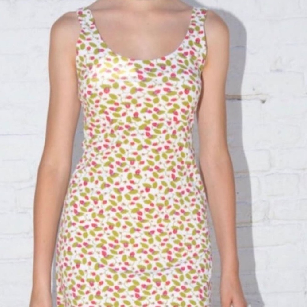READ: RARE strawberry and vines ellen dress!